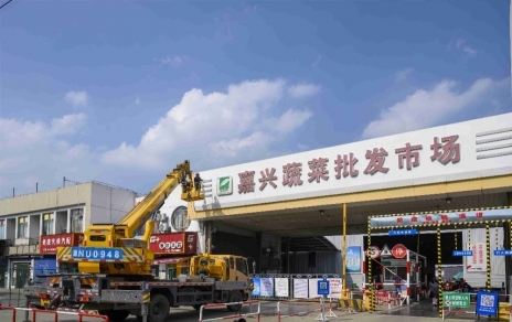 進(jìn)無(wú)止境，“嘉農?蔬菜人”